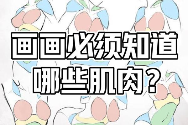 探究命格属水者身体形状的旺运指南：更好地利用你的元素优势！