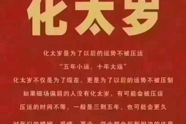 明年兔兔的命运解析：2024年兔年运势与生活指南