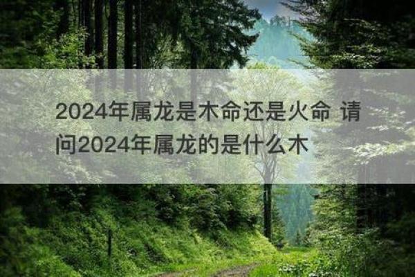 2024年5月出生的宝宝属什么命？揭晓五行与命理奥秘！