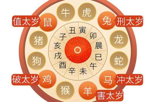 龙命变蛇命的秘密：从神话传说到现实启示