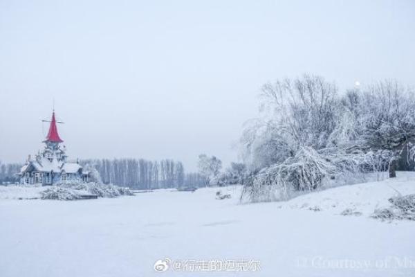 炉中火命：热情与创造力的完美结合