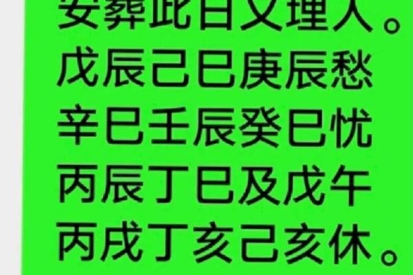 男乙亥年辛巳月的命理解析与人生智慧