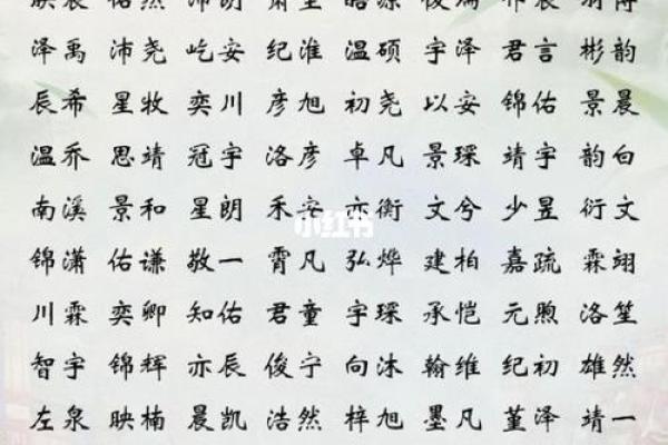 马年宝宝命里缺什么？为您的孩子选择合适的名字