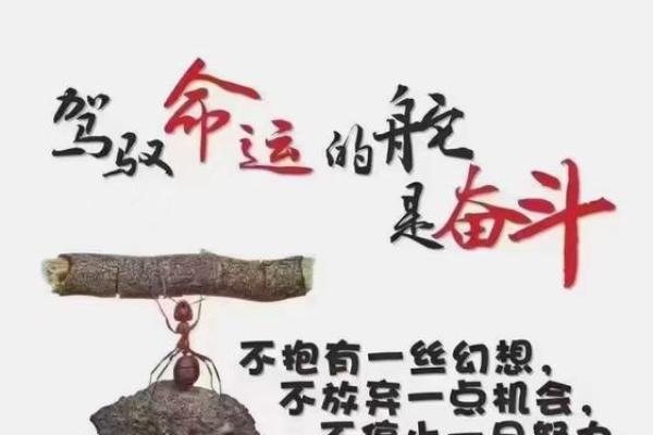 2023年命理分析：揭示你的运势与生活机遇