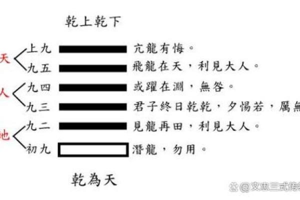 1967年出生的人命运与性格解析：探索人生的奥秘与智慧