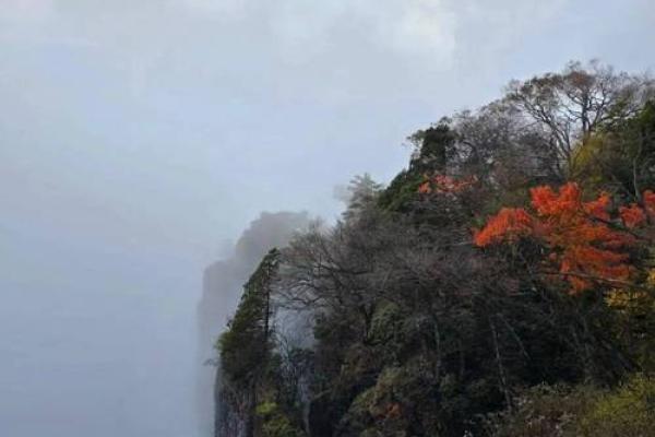 男人的十两命：探秘命运与生活的深层联系