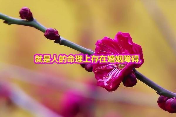 揭秘命里红艳煞：为何它被视为命理中的特殊象征？