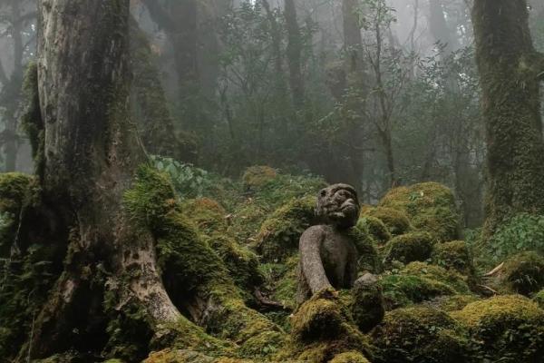 探索坤艮山的神秘传说：合仙命的奇妙旅程