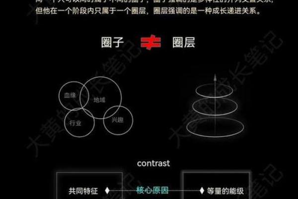 揭示女命喜用食伤的奥秘与生肖的深刻联系