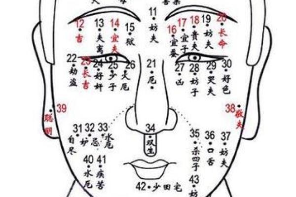 揭秘女人的富贵面相：怎样的面相能带来好运与财富？