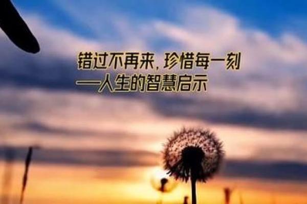 流年命带驿马的深刻解读与人生启示