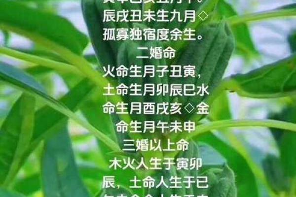 木命与火命的风水矛盾：深度解析不相配的命理关系