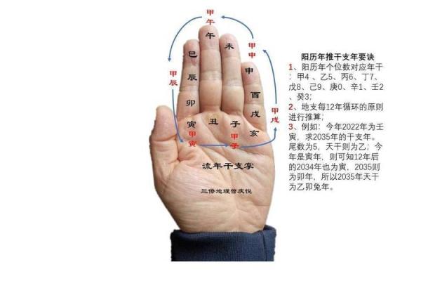 路旁土命与木命的完美结合：探索五行相生的深意与实际应用