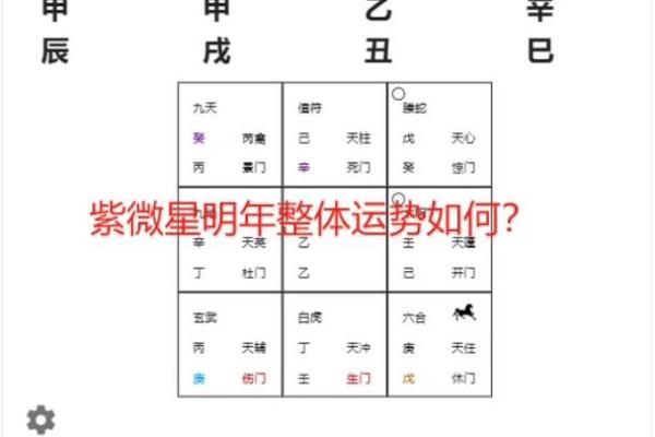 明年运势解析：哪些命格将迎来富婆的光辉人生？