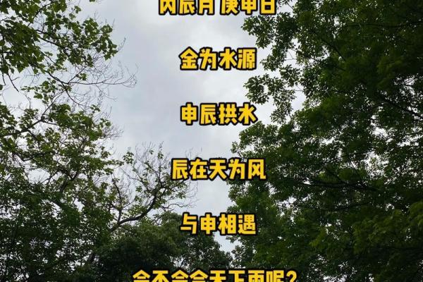 命理中命格归位的深刻意义与人生影响