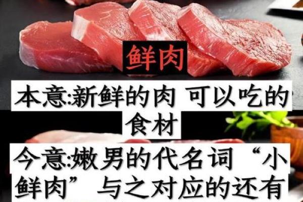 两命别踢：解读这一特别词汇背后的文化现象与生活智慧