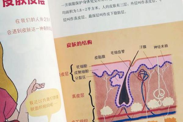 命中注定：有大权与命格解析的奥秘之旅