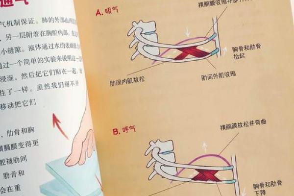 命中注定：有大权与命格解析的奥秘之旅