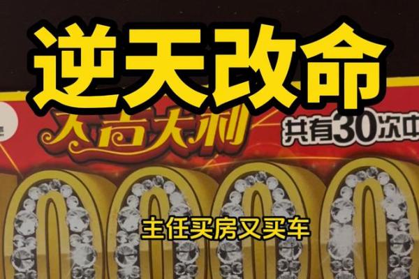 牛马命格的深意：解析命理背后的生活智慧与哲学