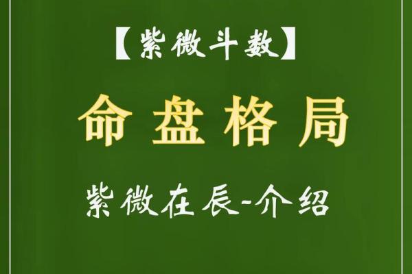 流年命盘解析：揭示男命运势的神秘之旅