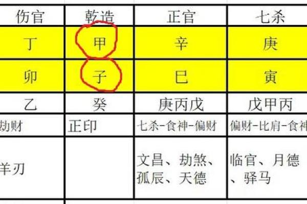 探秘命理：理解四支合一支的独特命局魅力