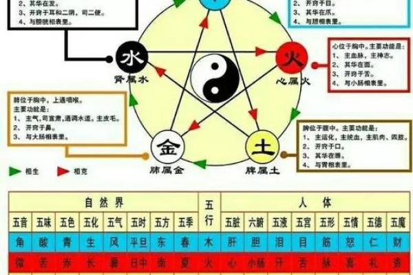 路旁土命：探秘命理中土元素的独特魅力与启示