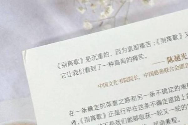 94年12月出生命运解析：揭示你的性格和人生之路