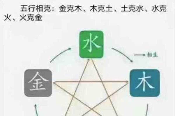 木命爸爸与水命孩子的命理奥秘探讨