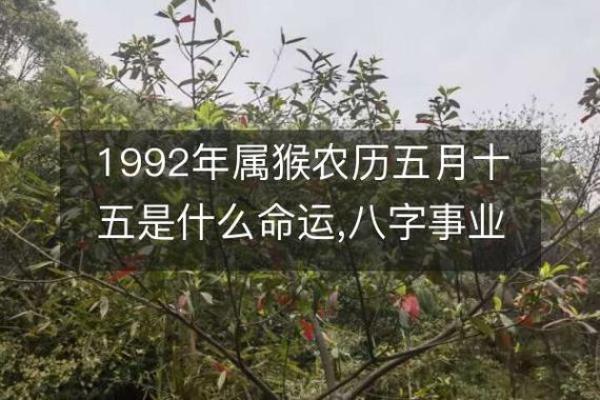 农历53年6月出生的人命运解析：属什么命？