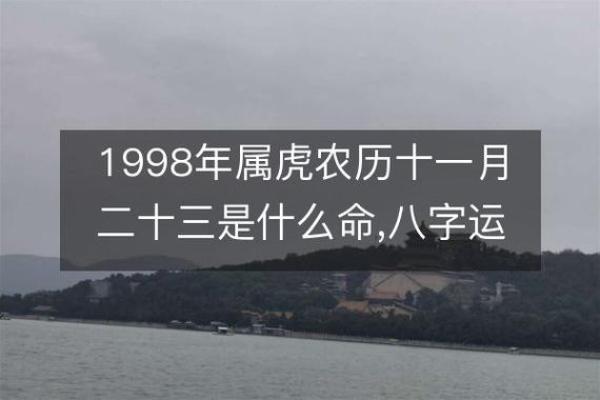 农历53年6月出生的人命运解析：属什么命？