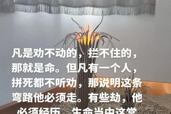 “我是他的命”——一段关于爱情的深刻解读