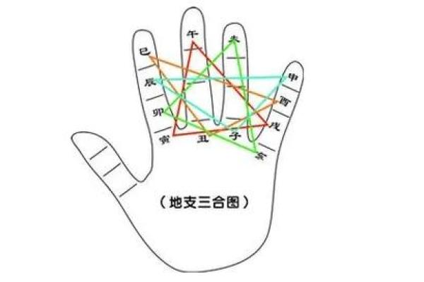 命理学中忌神的深刻解析与应用探讨