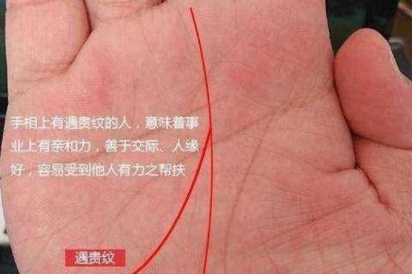 女命6两3钱：深度解析命运与人生的关系