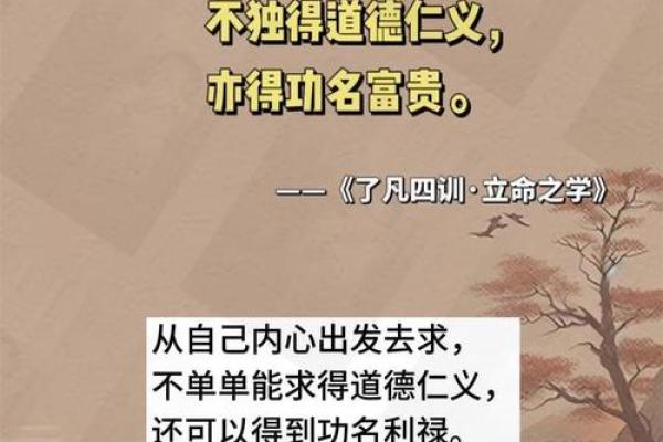 探寻“命好的男人”：他们的特点与吸引力分析