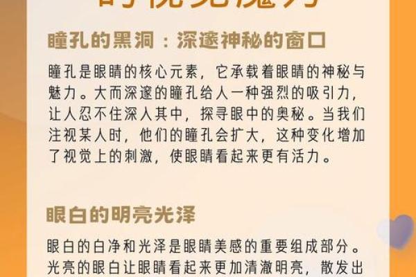 探寻“命好的男人”：他们的特点与吸引力分析