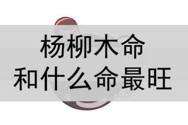 木命人士与哪些命相辅相成，共创美好未来！