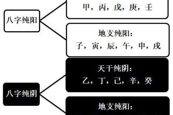 揭开男命纯阴的神秘面纱：命理与人生的深刻探讨