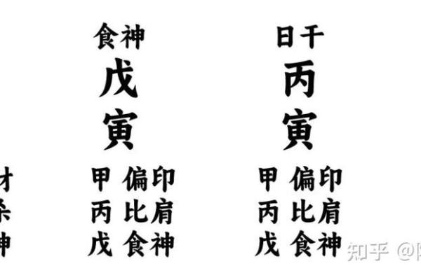 揭开男命纯阴的神秘面纱：命理与人生的深刻探讨