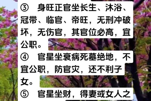 揭秘八字：女命生于最佳时辰，命运如何逆袭！