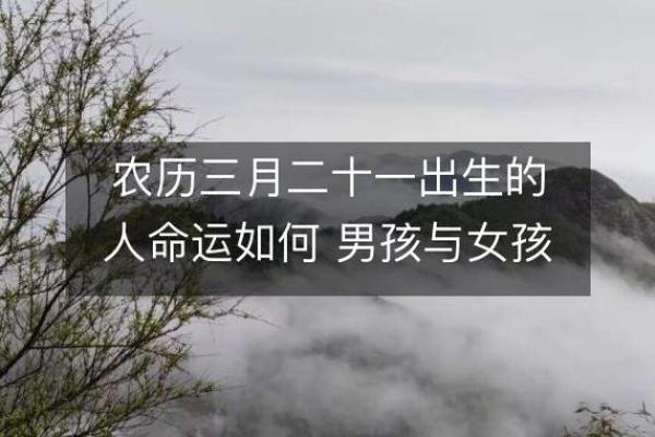 农历8月13日出生者的命运与性格解析：细腻与坚韧相辅相成