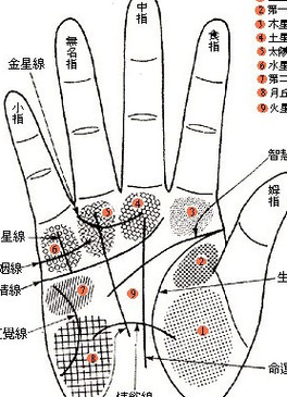 女人小拇指短的命理解析：与运势、性格和人际关系的微妙关系