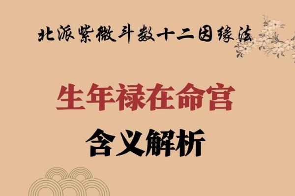 命盘中的禄权之解读：揭示命运与事业的双重力量