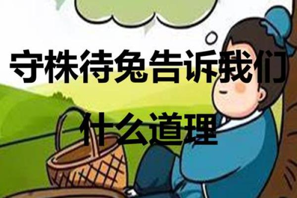 李贵的命运之谜：探寻背后的故事与启示