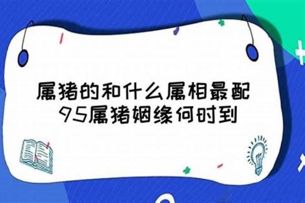 1995年属猪一月份的命理解析：揭示性格与运势的奥秘