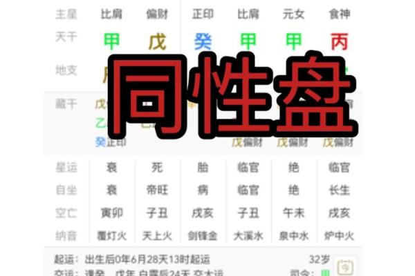 2023年出生人命运解析：探寻命理与生活的奥秘