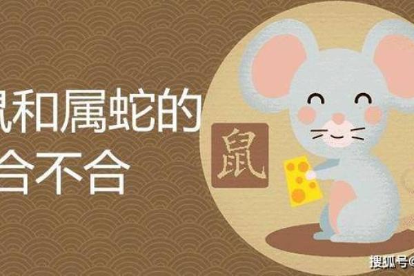 明年兔年属蛇的人运势解析：从命理看未来运程的转变