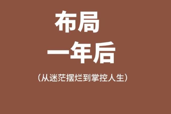 命局分析：关键指标解析与解读，助你掌控人生！