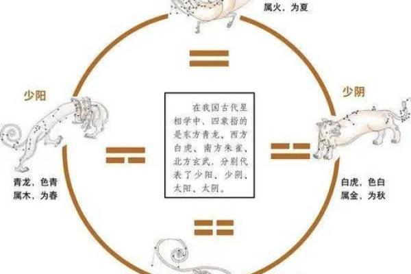 女命姐弟恋八字特征：从命理解析爱情的不同维度