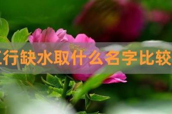 牛土命与水命的不合解析：你了解吗？