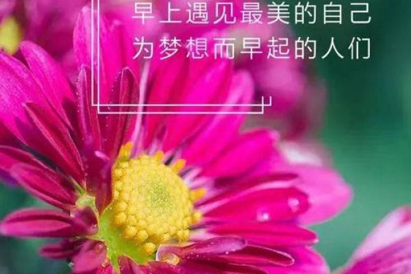 卯木的象征与意义：解读命局中的生命能量与数字关系